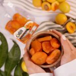 ترشک وکیوم برگه زردآلو فرآوری شده