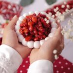 ترشک وکیوم زغال اخته فرآوری شده